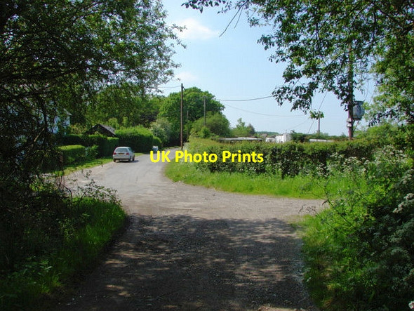 Photo 6"x4" Green Lane, Ash Green Ash Green\/SU9049 c2010