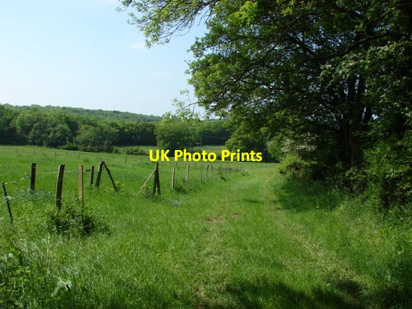 Photo 6"x4" Flexford, Surrey Flexford\/SU9250 c2010