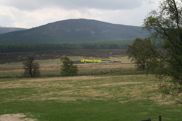 Photo 6"x4" Coranstilmore , Sheep Fank Corarnstilbeg c2010