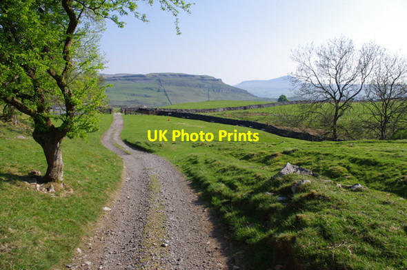 Photo 6"x4" Feizor Nick Town Head\/SD7768 c2010
