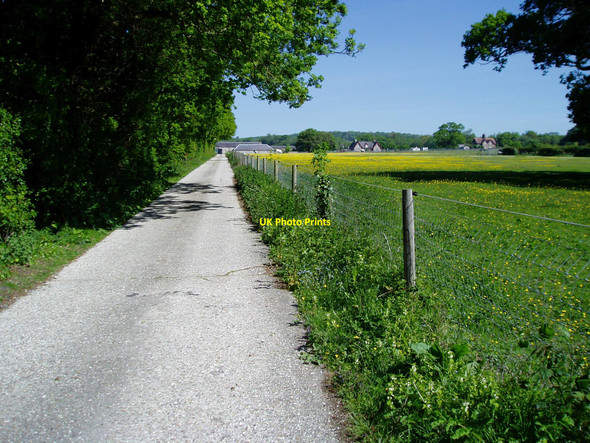 Photo 6"x4" Public footpath 348 Arundel c2010