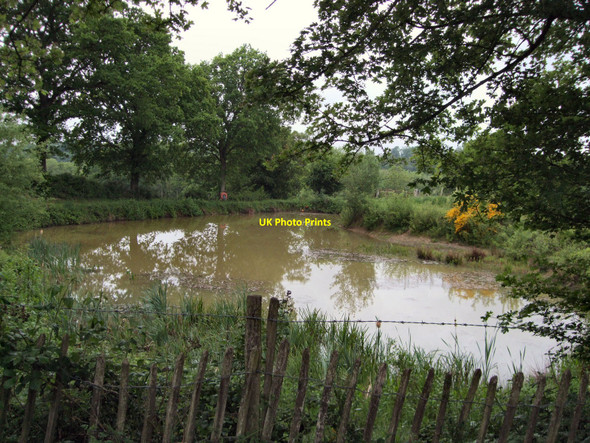 Photo 6"x4" Dewpond - Horam Horam c2010
