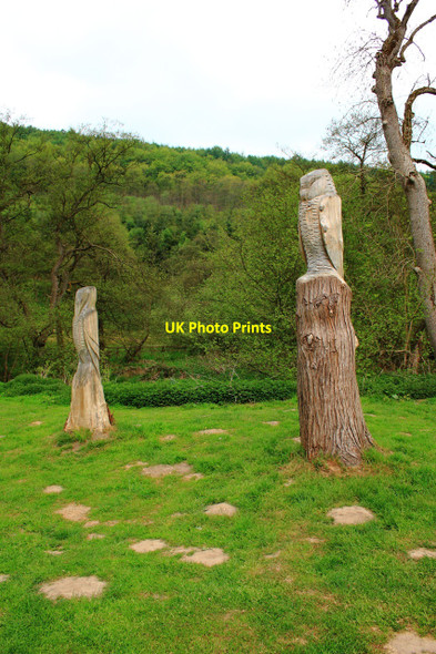 Photo 6"x4" Bird Carvings, Children's Playground, Dalby Forest Centre Low Dalby c2010