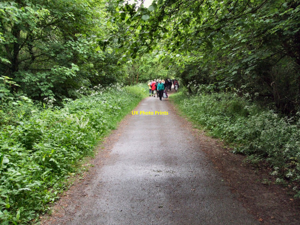 Photo 6"x4" Cuckoo Trail Maynard's Green c2010
