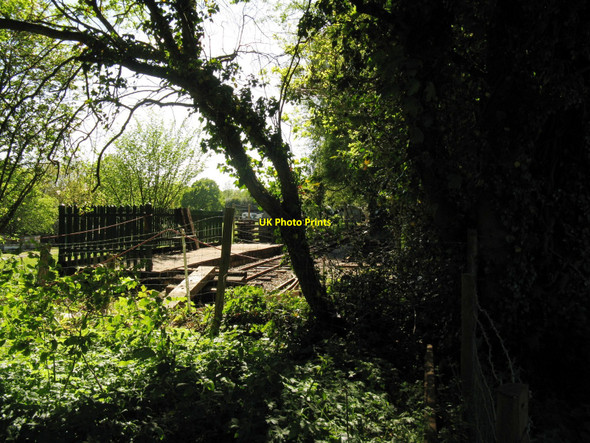 Photo 6"x4" Miniature railway near Hadlow Down Hadlow Down c2010