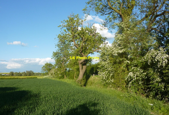 Photo 6"x4" Field by Smeath Lane Bolham\/SK7082 c2010