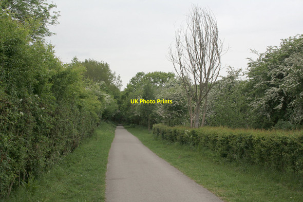 Photo 6"x4" Nutbrook Trail Ilkeston c2010