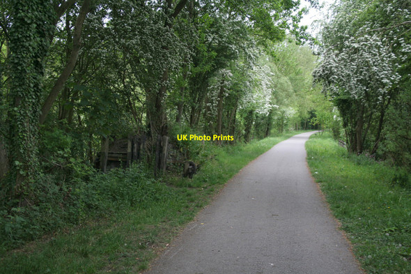 Photo 6"x4" Nutbrook Trail Ilkeston c2010 P1