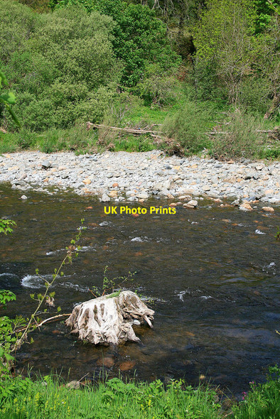 Photo 6"x4" Ettrick Water Selkirk c2010