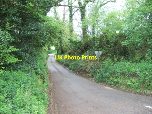 Photo 6"x4" Road leading south to Coombe Farm Woodmanton\/SY0185 c2010