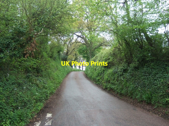 Photo 6"x4" Road leading west to Exton Woodmanton\/SY0185 c2010