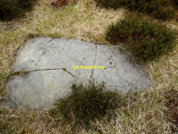 Photo 6"x4" Cup & ring carved stone, Brow Moor Ravenscar c2010