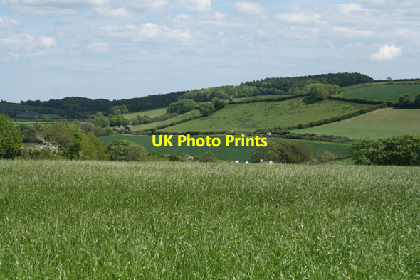 Photo 6"x4" Yealmpton: towards the A379 Dunstone\/SX5951 c2010