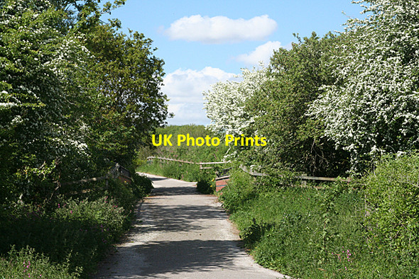 Photo 6"x4" Brixton: cycleway from Elburton Combe\/SX5452 c2010