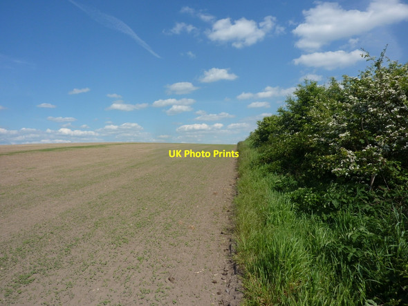 Photo 6"x4" Field edge Retford c2010
