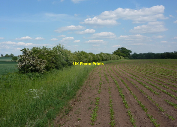 Photo 6"x4" Farmland north of Morton Grange Retford c2010