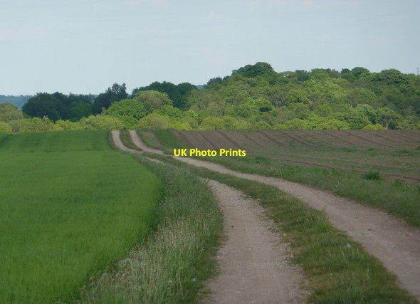 Photo 6"x4" Track towards Retford Babworth c2010