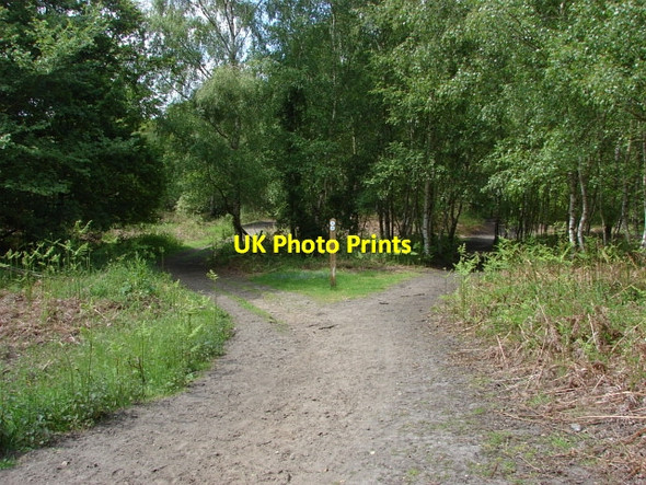 Photo 6"x4" Stanners Hill Stanners Hill c2010