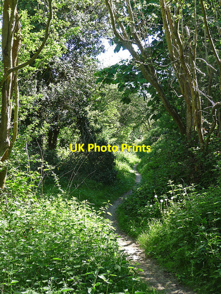 Photo 6"x4" Banstead Downs (4) Banstead c2010