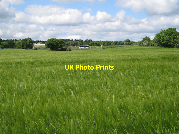 Photo 6"x4" M40 beyond a field of barley Bishop's Tachbrook c2010