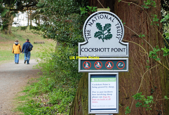 Photo 6"x4" Cockshott Point, Bowness on Windermere Bowness-On-Windermere c2010