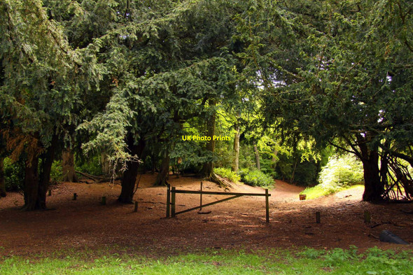 Photo 6"x4" Gated trail in Wendover Woods Wendover c2010