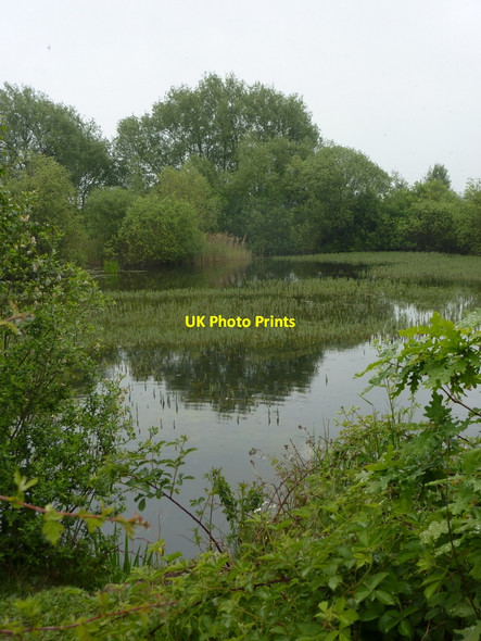 Photo 6"x4" A small lake amongst trees Bolham\/SK7082 c2010