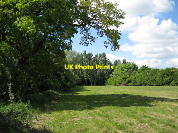 Photo 6"x4" Small field near Hogbrook Farm Chesterton Green c2010