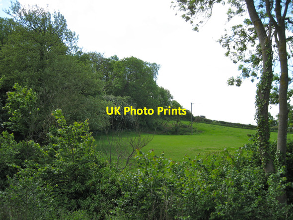 Photo 6"x4" Western edge of Bromson Hill Spinney Chesterton Green c2010