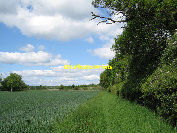 Photo 6"x4" Footpath by M40, early summer Bishop's Tachbrook c2010