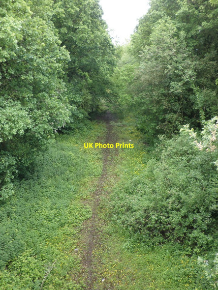 Photo 6"x4" Trackbed, former Tiverton branch Halberton c2010