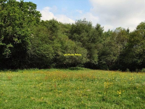 Photo 6"x4" Scantlings Farm Pounsley c2010