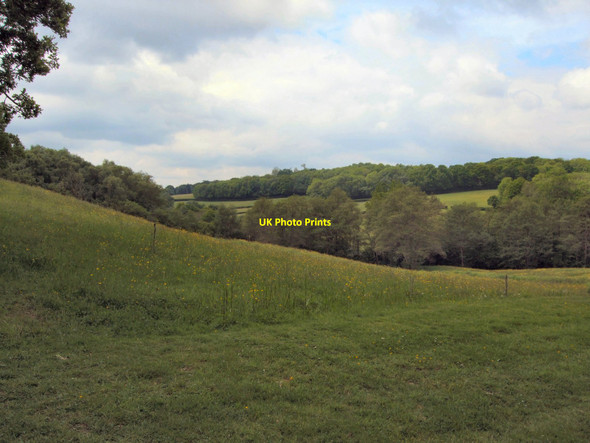 Photo 6"x4" Passalls farm Pounsley c2010