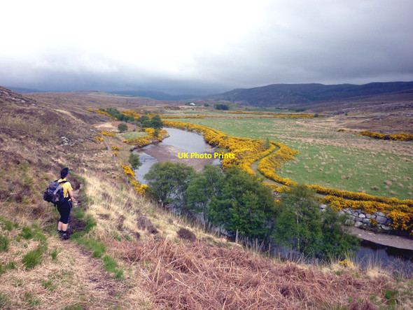Photo 6"x4" River and gorse Ardmair c2010
