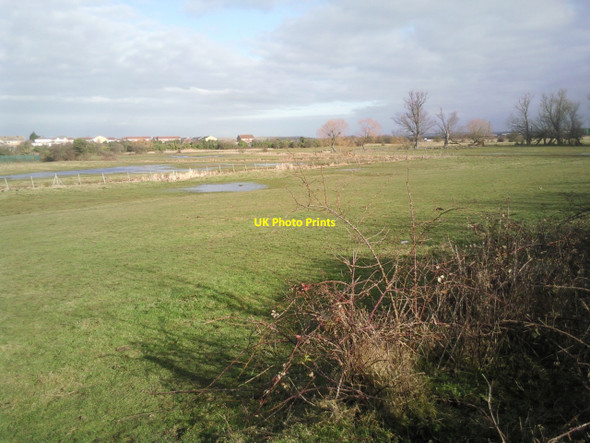 Photo 6"x4" Crayford Marsh Crayford\/TQ5174 c2010