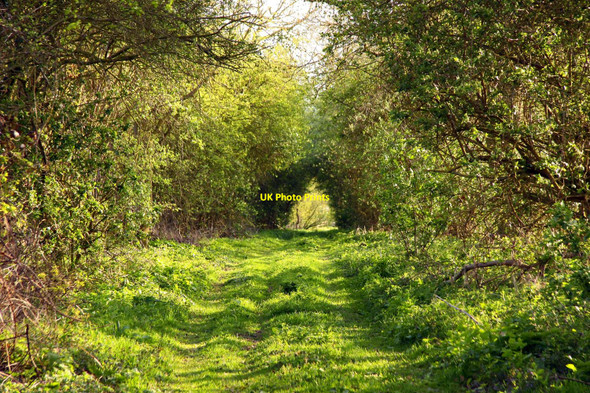 Photo 6"x4" Bridleway near Brightwell Park Brightwell Baldwin c2010
