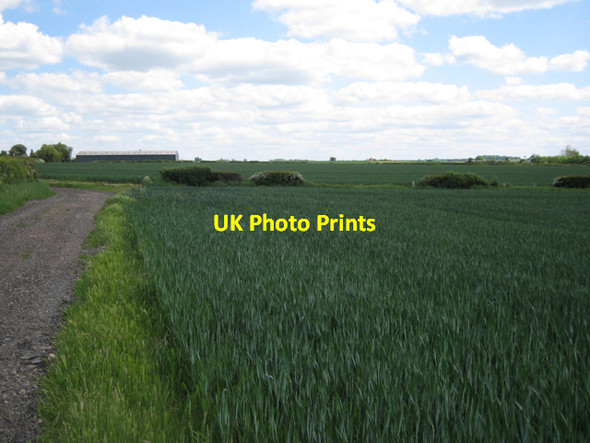 Photo 6"x4" More gap than hedge Chesterton Green c2010