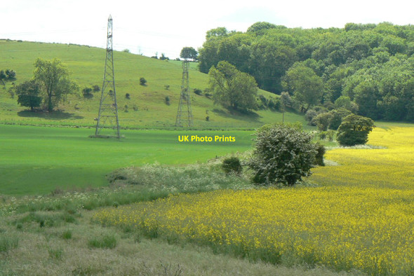 Photo 6"x4" Bridleway to Gotham Hill Barton in Fabis c2010