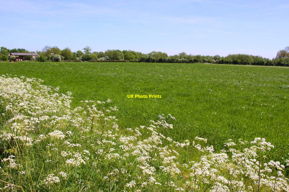 Photo 6"x4" Arable field by Wytham Mill Wolvercote c2010