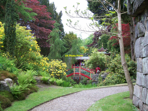 Photo 6"x4" The Chinese Garden at Biddulph Grange Biddulph c2010