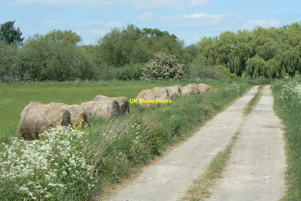 Photo 6"x4" Ferry Lane Long Eaton c2010