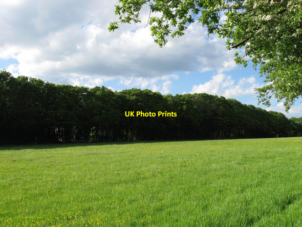 Photo 6"x4" The Woodfields Broomham\/TQ5212 c2010