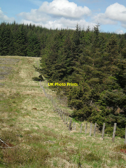 Photo 6"x4" Near the White Hole Burn Davington\/NT2302 c2010