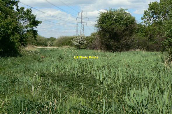 Photo 6"x4" Fairham Brook Nature Reserve Brook Hill\/SK5633 c2010