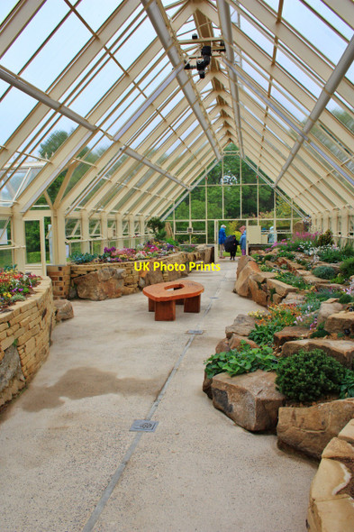 Photo 6"x4" RHS Harlow Carr, Alpine House, Internal View Harrogate c2010