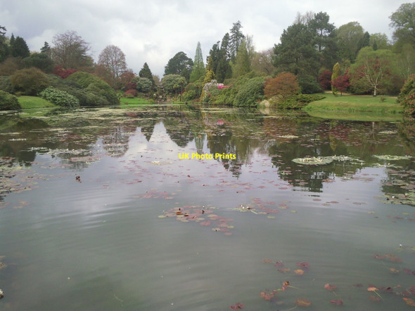 Photo 6"x4" The Middle Lake at Sheffield Park Gardens after rain Fletching c2010
