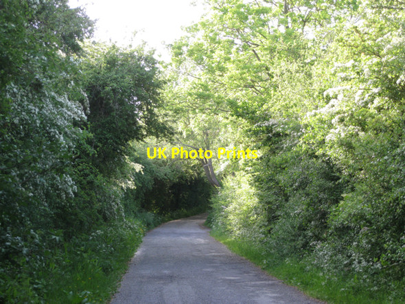 Photo 6"x4" Golf Lane Whitnash c2010