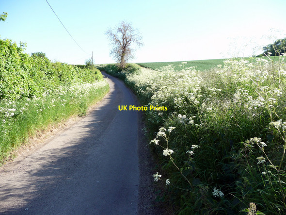 Photo 6"x4" Barwick Road Standon\/TL3822 c2010