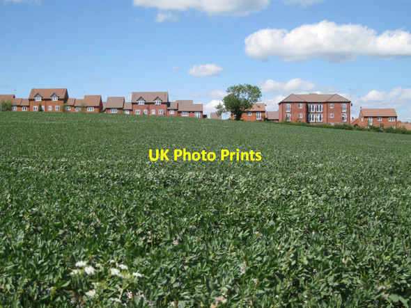Photo 6"x4" Two crops, former Green Farm, Whitnash Royal Leamington Spa c2010