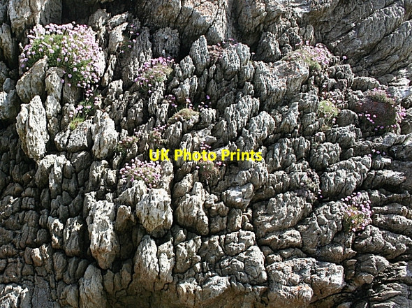 Photo 6"x4" Quartzite Rock Face Rhoscolyn c2010